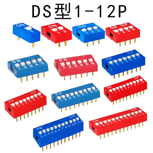 DS型1-12P